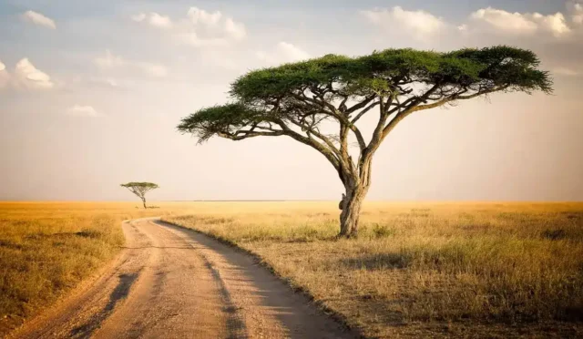 Afrika Kıtasındaki Ülkeler