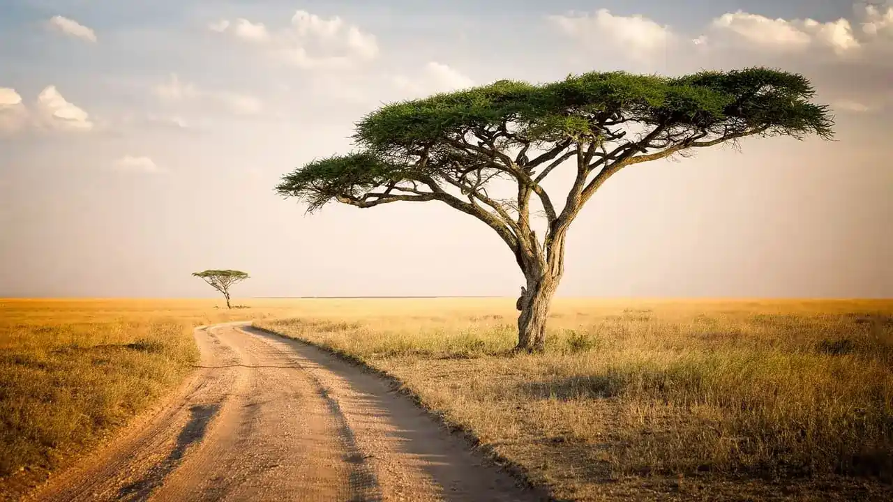 Afrika Kıtasındaki Ülkeler